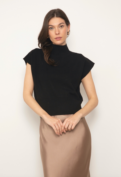 Ezra Dolman Turtleneck in Black