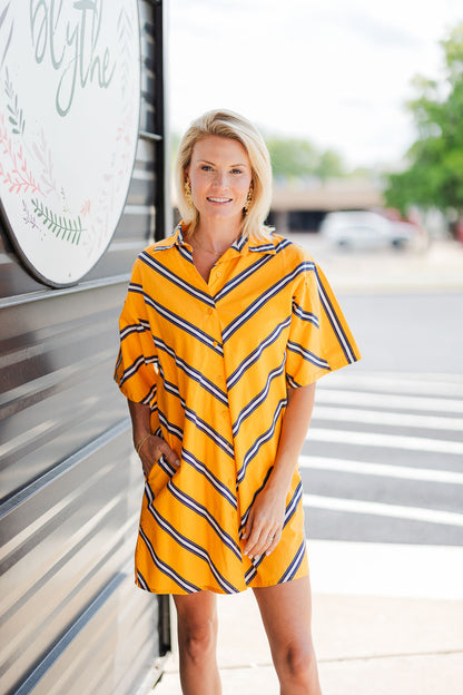 FINAL SALE Amelia Mini Dress in Stripe