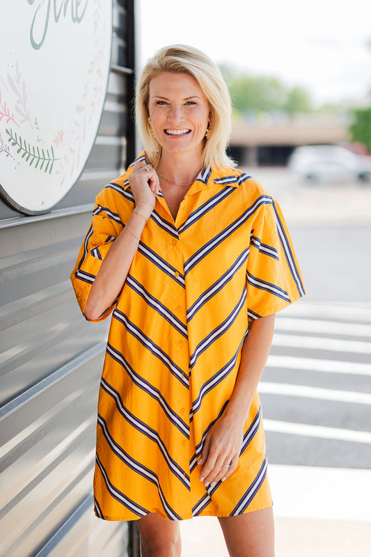 Amelia Mini Dress in Stripe